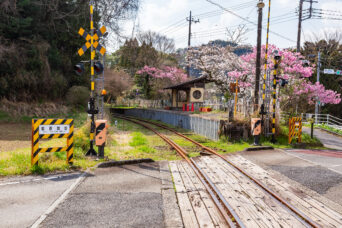 いすみ鉄道・西畑駅(千葉県:2025年3月)