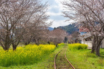 いすみ鉄道・総元駅(千葉県:2025年3月)