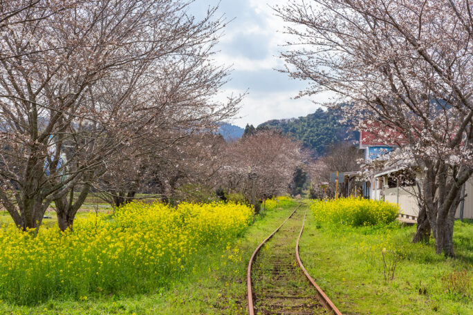 いすみ鉄道・総元駅(千葉県:2025年3月)