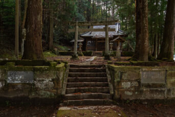 いすみ鉄道・久我原~東総元間・河伯神社(千葉県:2025年3月)