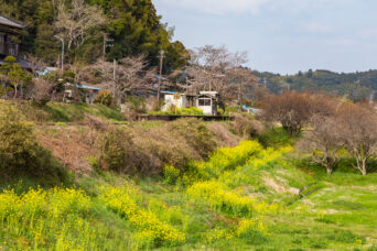 いすみ鉄道・東総元駅(千葉県:2025年3月)