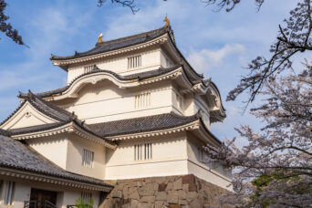 夷隅・大多喜・大多喜城(千葉県:2025年3月)