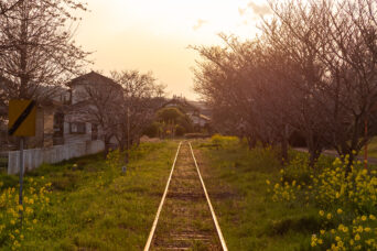 いすみ鉄道・上総中川駅(千葉県:2025年3月)
