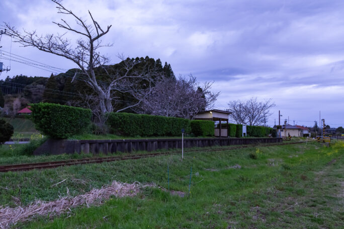 いすみ鉄道・新田野駅（千葉県：2025年3月）