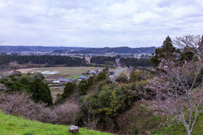 夷隅・万木城跡（千葉県：2025年3月）