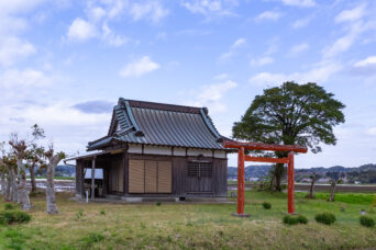 夷隅・万木・八坂神社(千葉県:2025年3月)