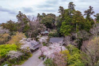 南総鉄道・笠森寺駅跡付近・笠森寺(千葉県:2025年3月)