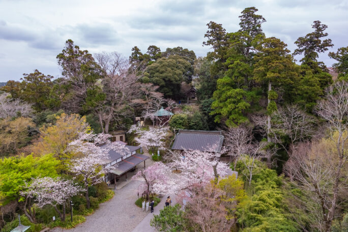 南総鉄道・笠森寺駅跡付近・笠森寺（千葉県：2025年3月）