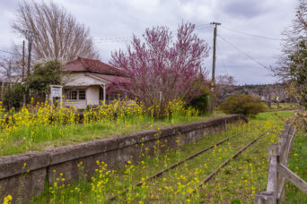 小湊鉄道・上総鶴舞駅(千葉県:2025年3月)