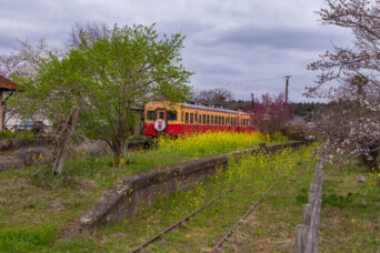 小湊鉄道・上総鶴舞駅(千葉県:2025年3月)