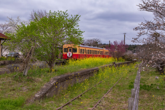 小湊鉄道・上総鶴舞駅（千葉県：2025年3月）