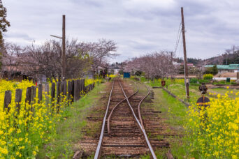 小湊鉄道・高滝駅(千葉県:2025年3月)