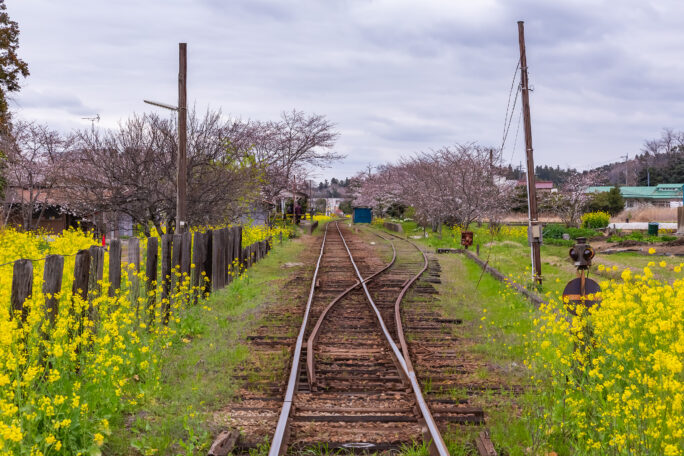 小湊鉄道・高滝駅（千葉県：2025年3月）