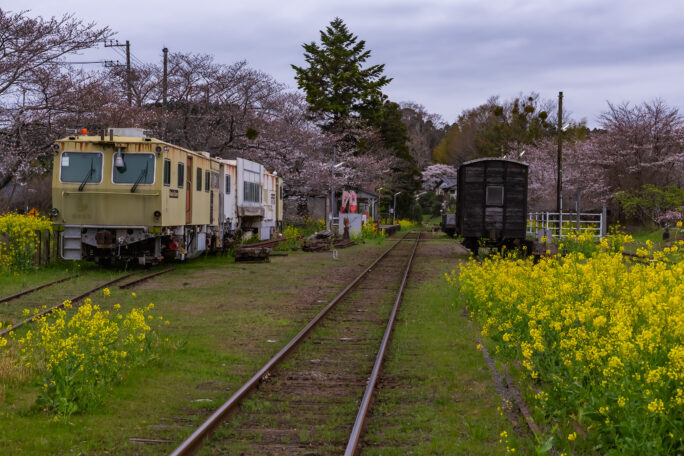 小湊鉄道・里見駅（千葉県：2025年3月）