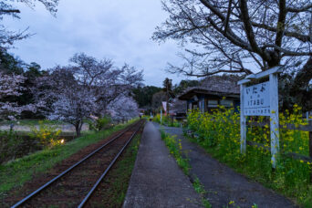 小湊鉄道・飯給駅(千葉県:2025年3月)