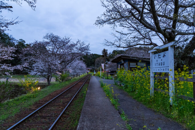 小湊鉄道・飯給駅（千葉県：2025年3月）