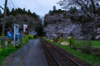 小湊鉄道・飯給駅(千葉県:2025年3月)