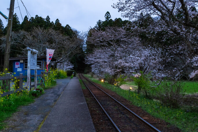 小湊鉄道・飯給駅（千葉県：2025年3月）