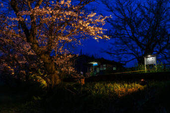 小湊鉄道・飯給駅(千葉県:2025年3月)