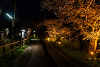 小湊鉄道・飯給駅(千葉県:2025年3月)
