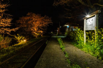 小湊鉄道・飯給駅(千葉県:2025年3月)