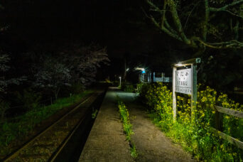 小湊鉄道・飯給駅(千葉県:2025年3月)