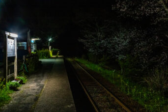 小湊鉄道・飯給駅(千葉県:2025年3月)