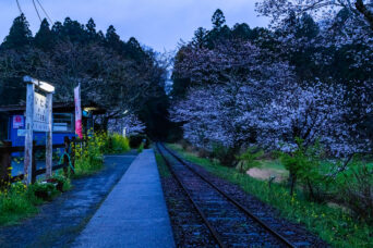 小湊鉄道・飯給駅(千葉県:2025年4月)