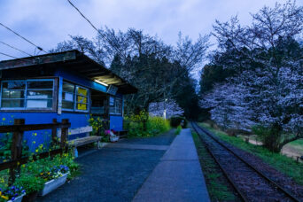 小湊鉄道・飯給駅(千葉県:2025年4月)