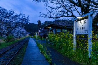 小湊鉄道・飯給駅(千葉県:2025年4月)