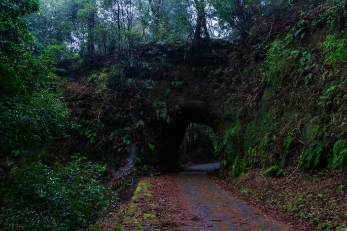 夷隅・養老渓谷温泉付近・清水代隧道群（千葉県：2025年4月）