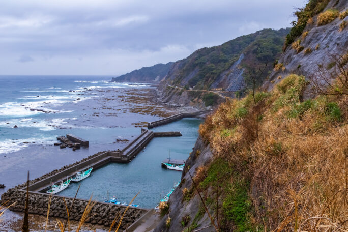 勝浦・大沢・お仙ころがし（千葉県：2025年4月）