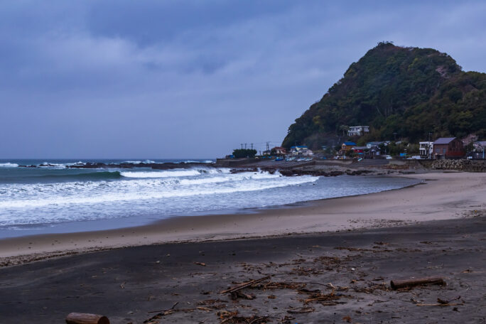 天津・ニタ間海岸（千葉県：2025年4月）
