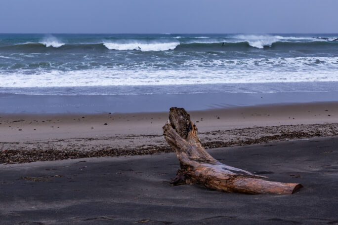 天津・ニタ間海岸（千葉県：2025年4月）