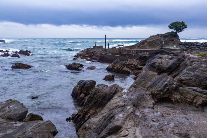 千倉・忽戸漁港（千葉県：2025年4月）