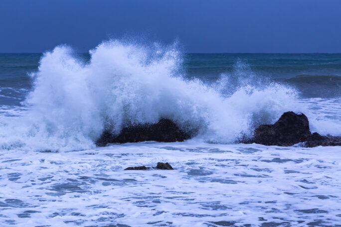 南房総・根本海岸（千葉県：2025年4月）