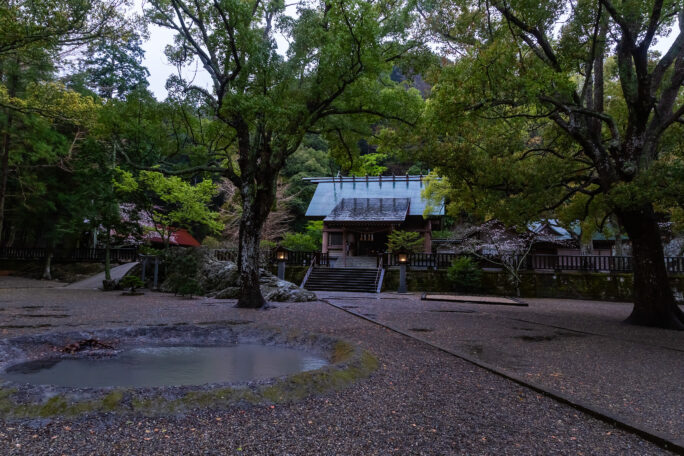 館山・安房神社（千葉県：2025年4月）