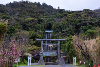 館山・洲崎神社(千葉県:2025年4月)