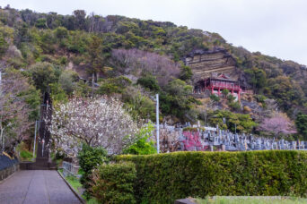 館山・船形・大福寺崖観音(千葉県:2025年4月)