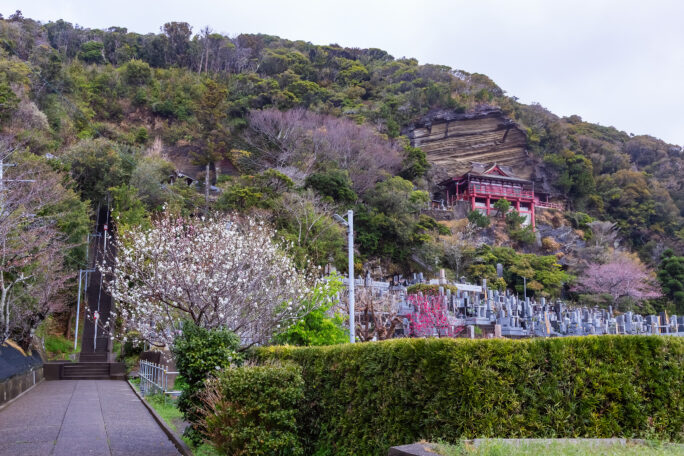 館山・船形・大福寺崖観音（千葉県：2025年4月）