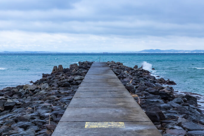 鋸南・勝山・竜ケ崎堤防（千葉県：2025年4月）