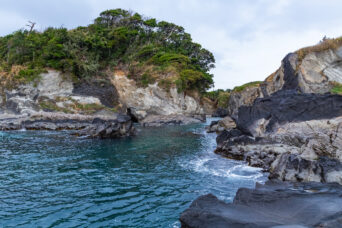 横須賀・荒崎海岸(神奈川県:2025年4月)