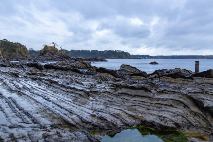 横須賀・荒崎海岸（神奈川県：2025年4月）