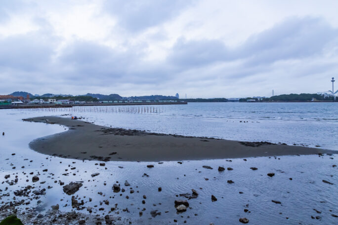 横浜・金沢・野島公園・乙舳海岸（神奈川県：2025年4月）