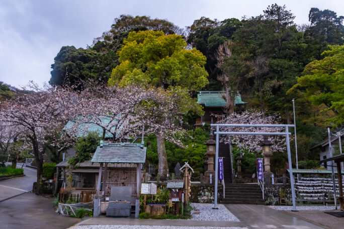 横須賀・走水神社（神奈川県：2025年4月）