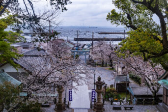 横須賀・走水神社(神奈川県:2025年4月)