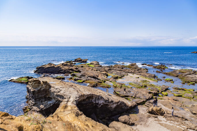 三浦・城ヶ島（神奈川県：2025年4月）