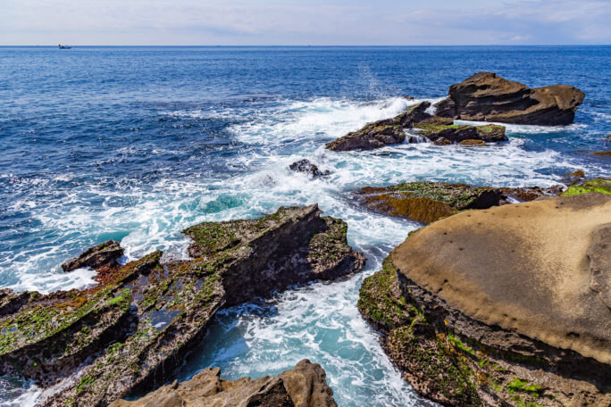 三浦・城ヶ島（神奈川県：2025年4月）