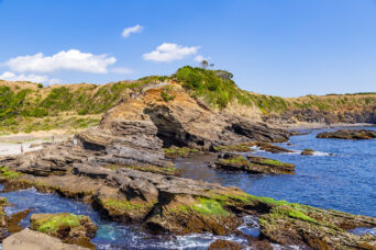 三浦・城ヶ島(神奈川県:2025年4月)