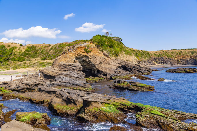 三浦・城ヶ島（神奈川県：2025年4月）